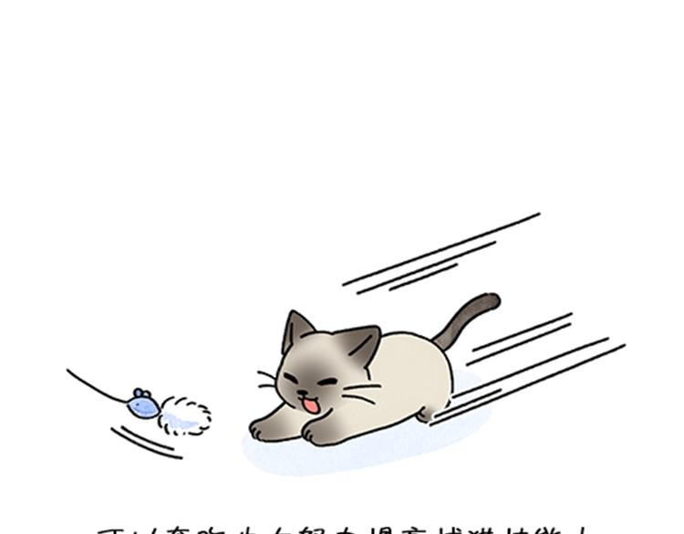 春福的故事-第34话