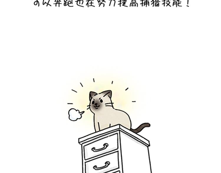 春福的故事-第34话