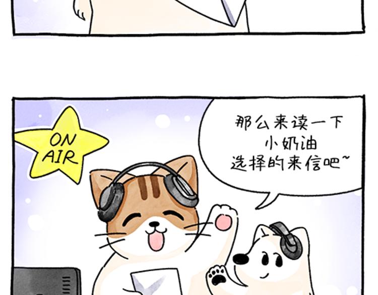 吐司貓咪POUNDCAT - 春福的故事 - 6
