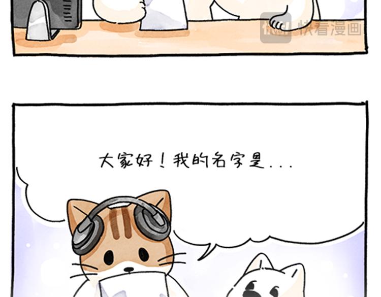 吐司貓咪POUNDCAT - 春福的故事 - 7