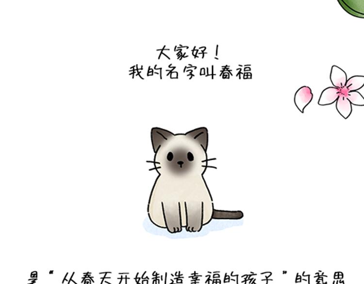 春福的故事-第34话