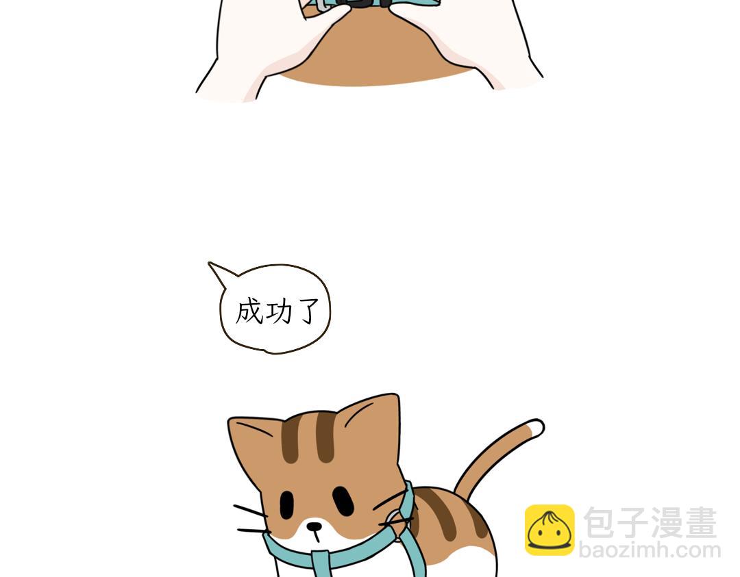 吐司貓咪POUNDCAT - 鏟shi官的惡趣味 - 4