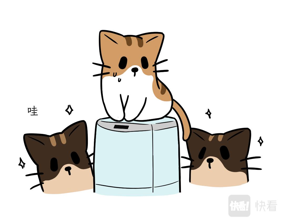 生活碎片-第8话