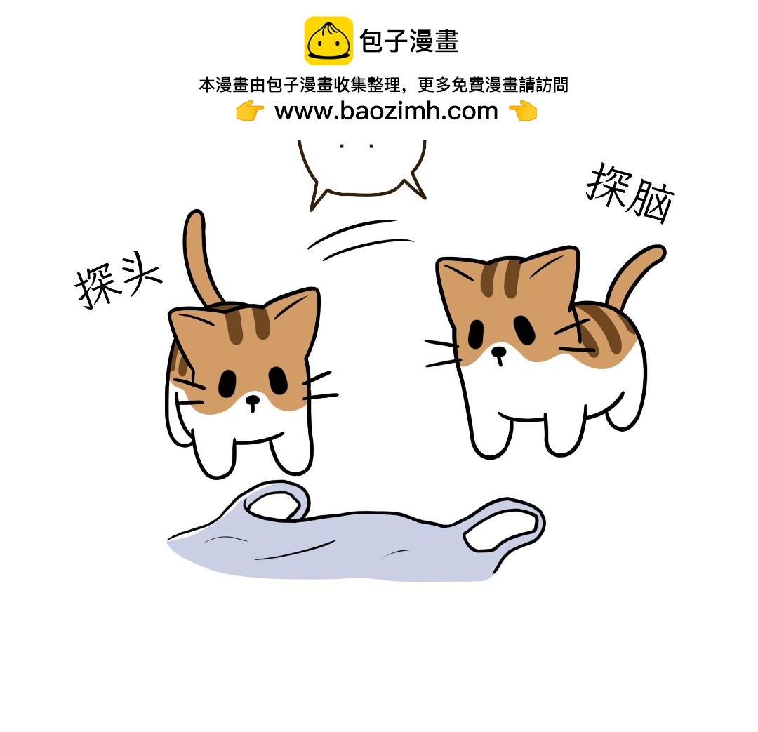 生活碎片-第8话