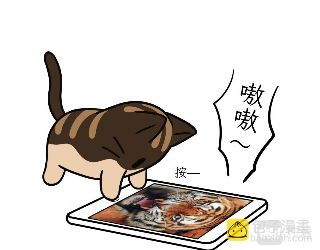 生活碎片-第8话