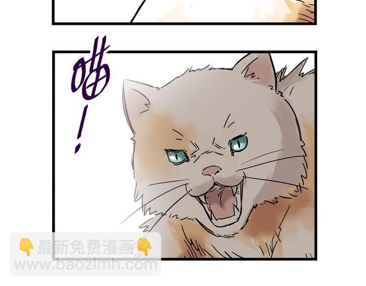 第2话 猫之念（二）(1/2)-第2话