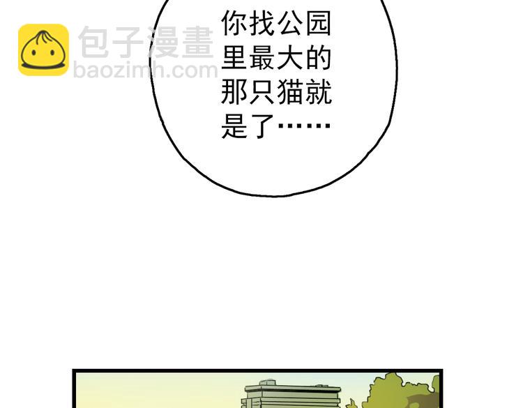 第2话 猫之念（二）(1/2)-第2话