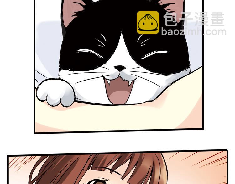 第4话 猫之念（四）(1/2)-第4话