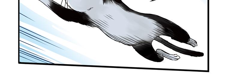 第4话 猫之念（四）(1/2)-第4话