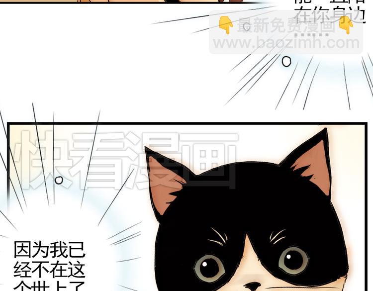 第4话 猫之念（四）(1/2)-第4话