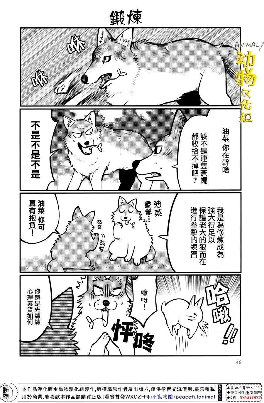兔子即是正義 - 第16話 - 2