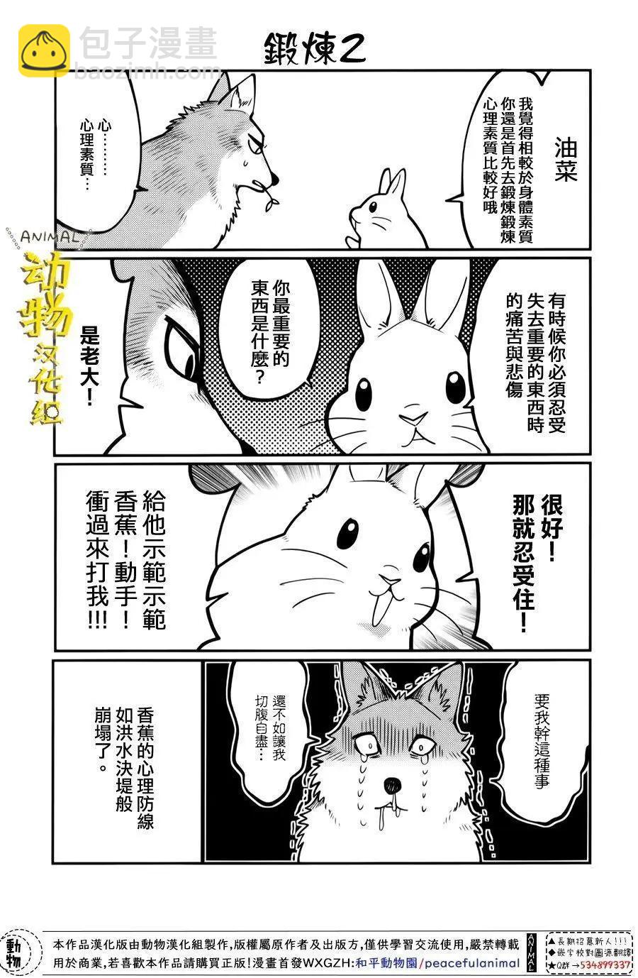 兔子即是正義 - 第16話 - 1