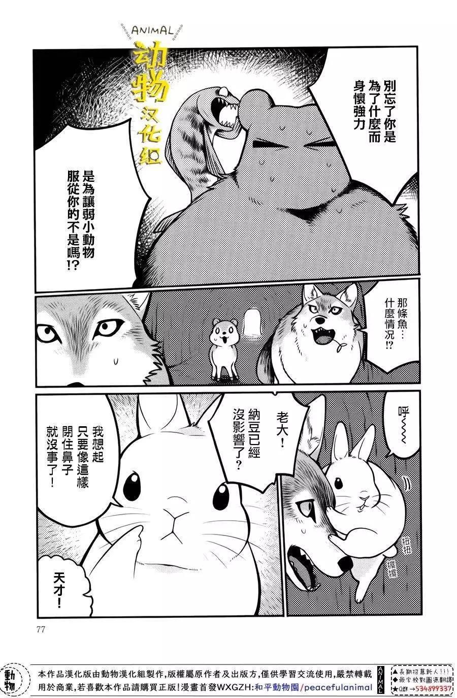 兔子即是正義 - 第18話 - 3