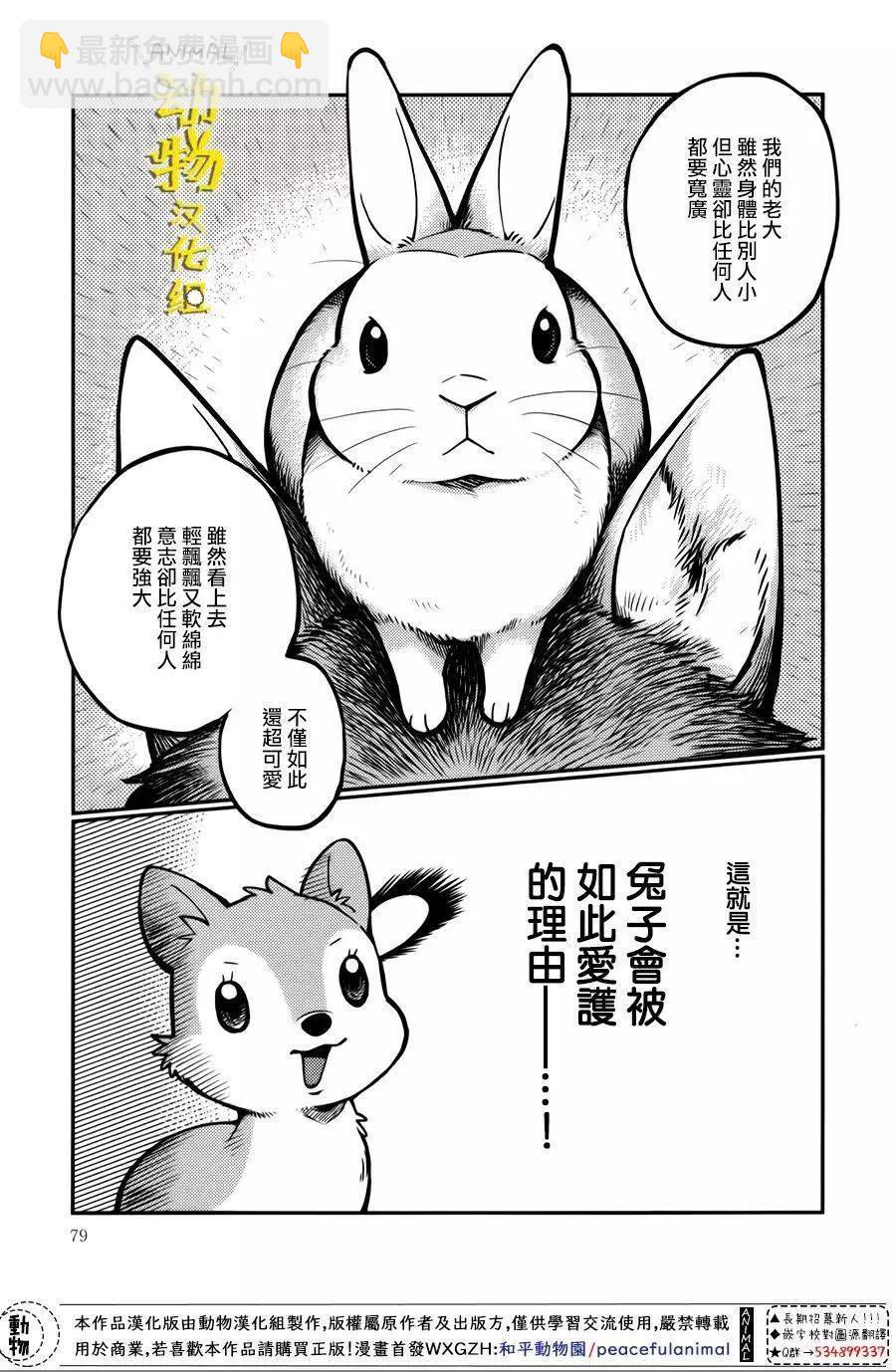 兔子即是正義 - 第18話 - 5