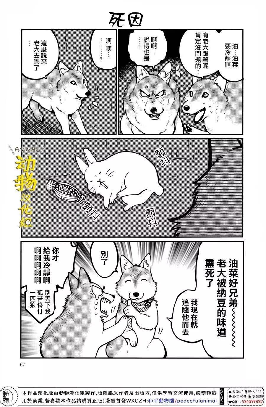 兔子即是正義 - 第18話 - 3