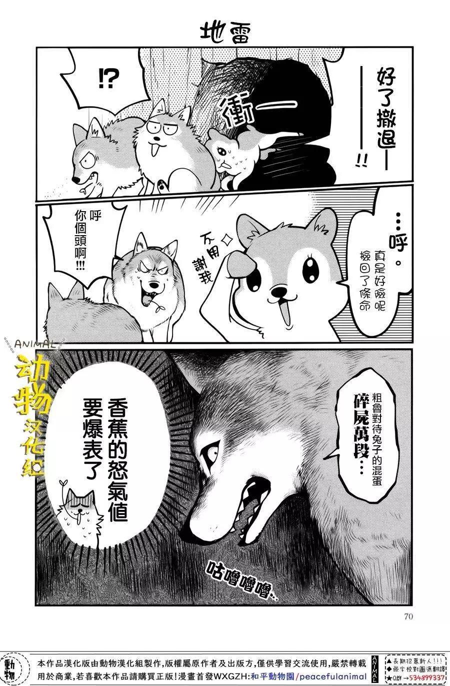 兔子即是正義 - 第18話 - 1