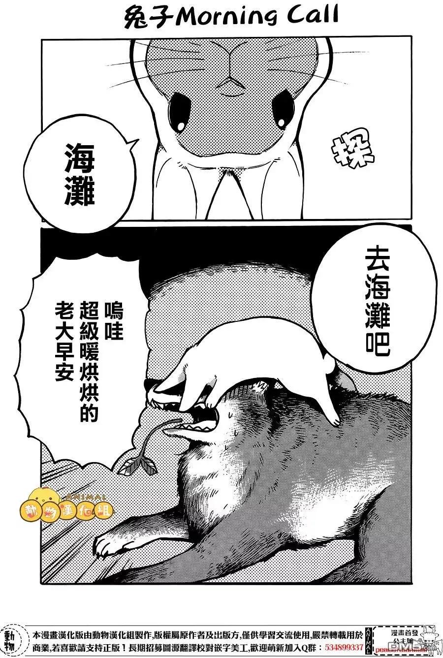 兔子即是正義 - 第6話 - 1