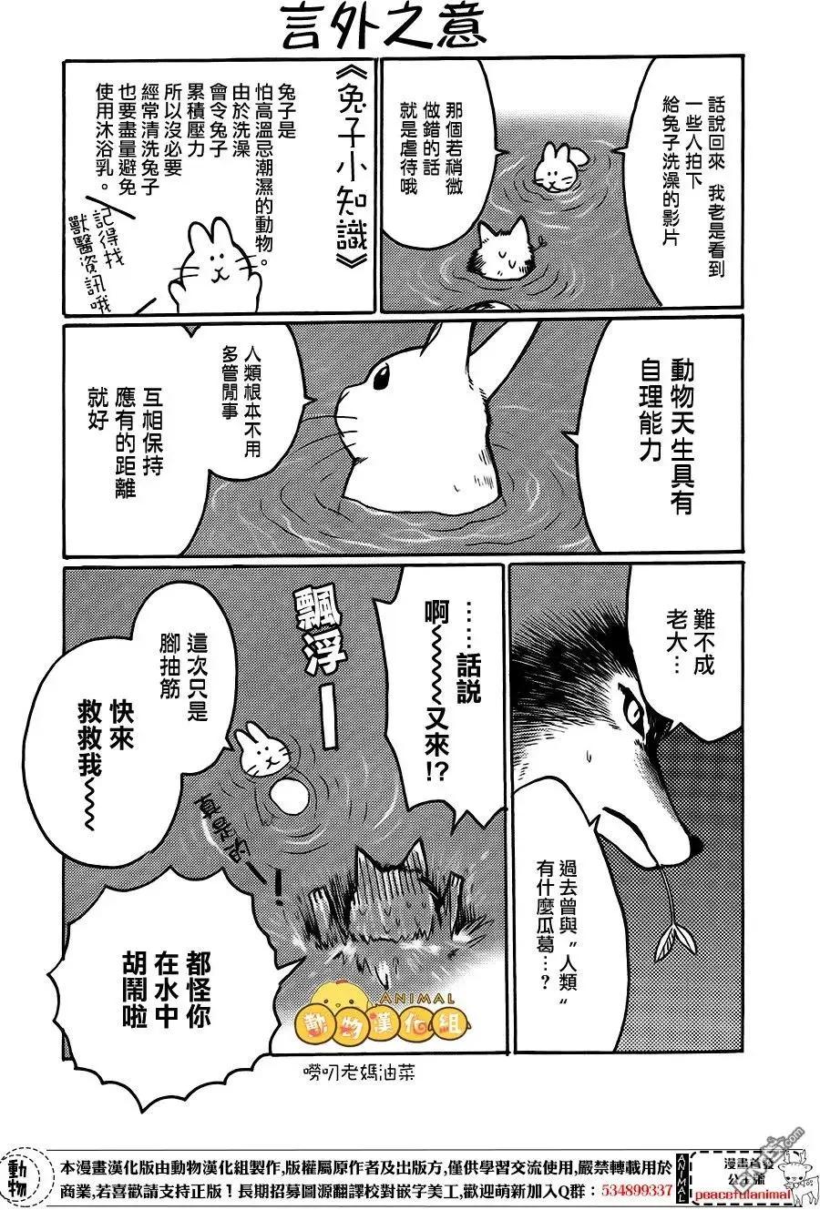 兔子即是正義 - 第6話 - 4
