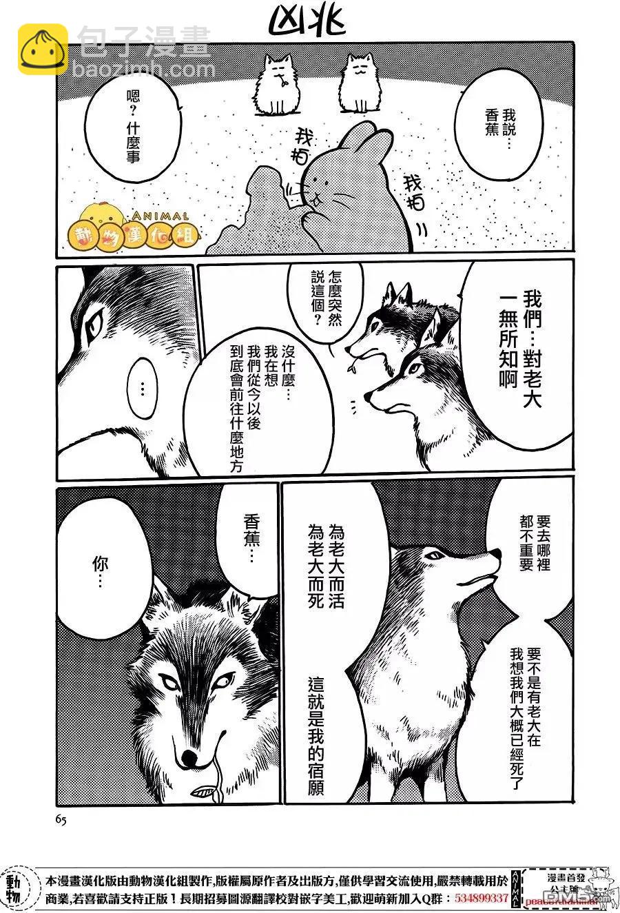兔子即是正義 - 第6話 - 1