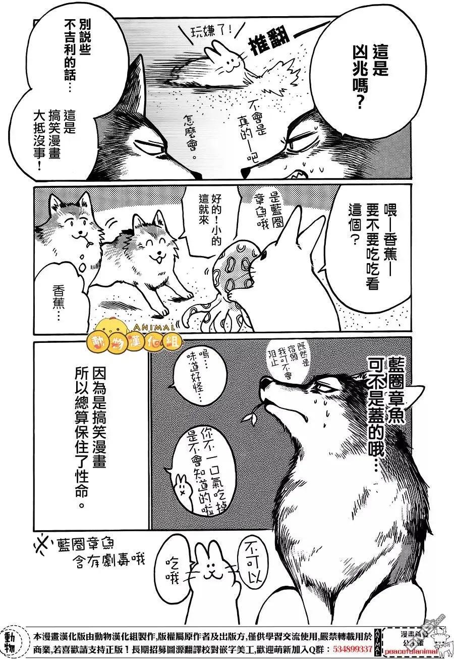 兔子即是正義 - 第6話 - 2