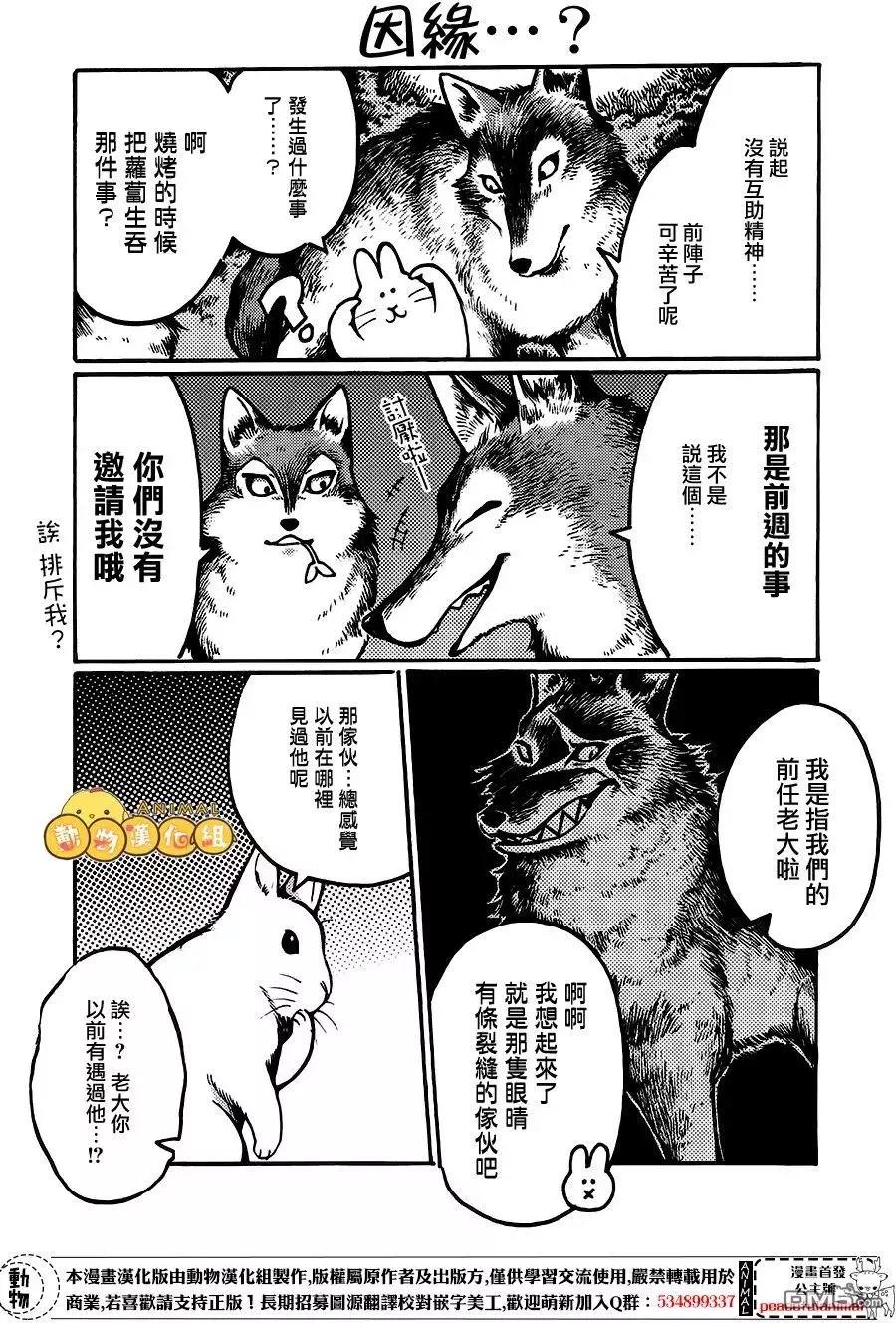 兔子即是正義 - 第6話 - 3