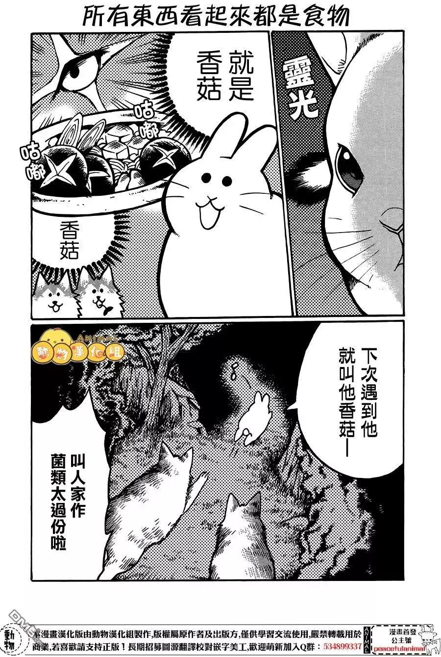 兔子即是正義 - 第6話 - 4