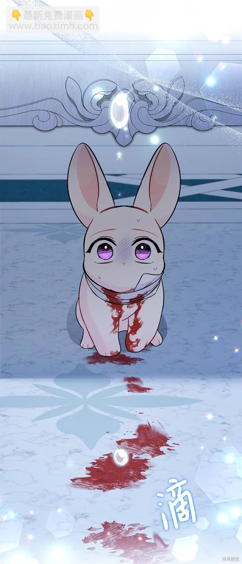 兔子與黑豹的共生關係 - 第120話(1/2) - 6