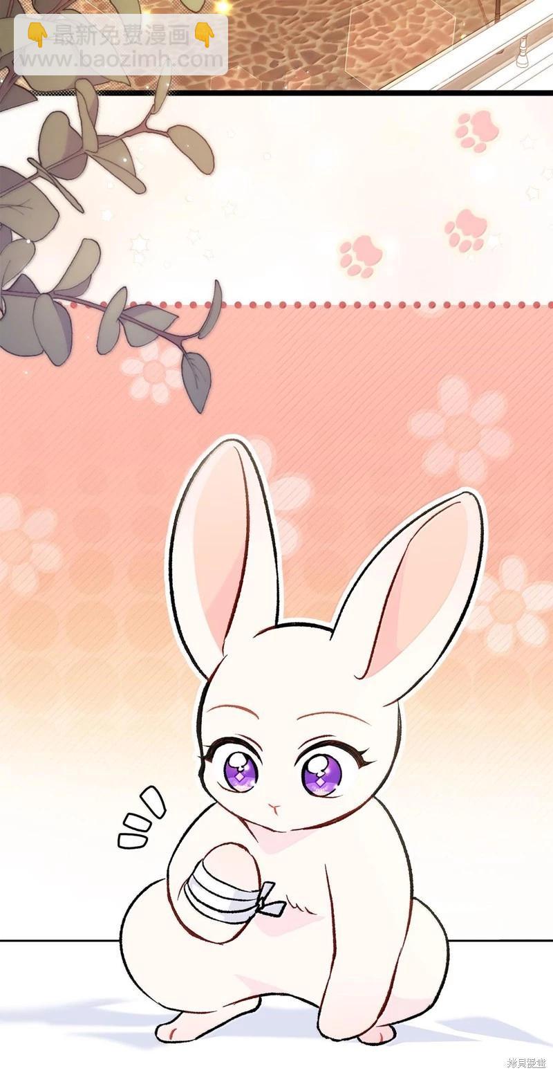 兔子與黑豹的共生關係 - 第128話(2/2) - 5