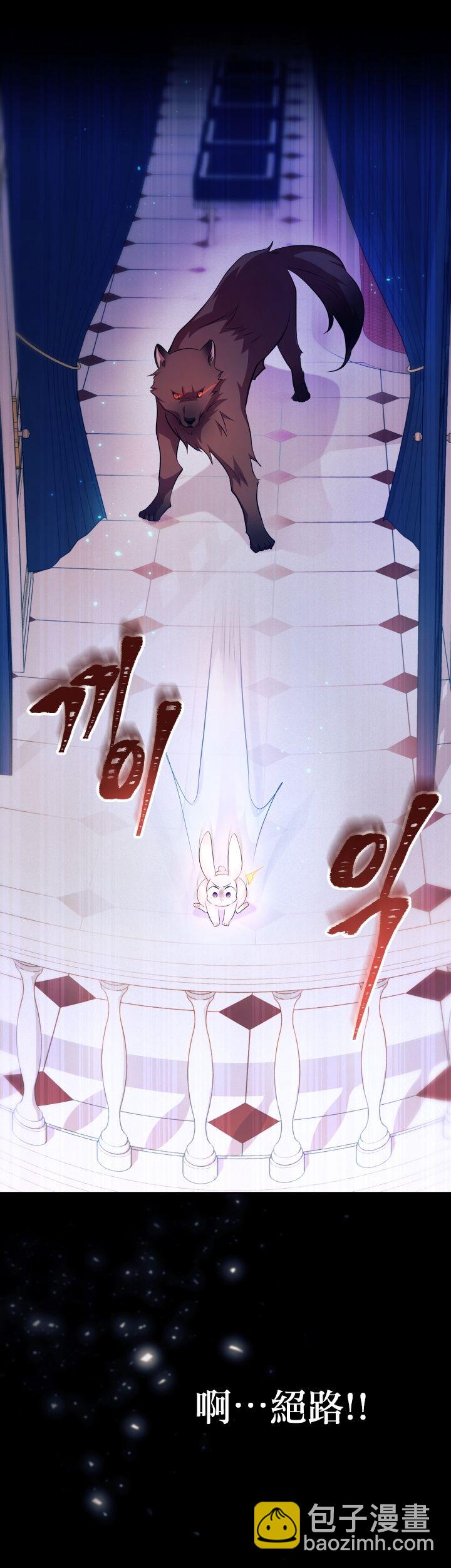 兔子與黑豹的共生關係 - 第14話 - 6