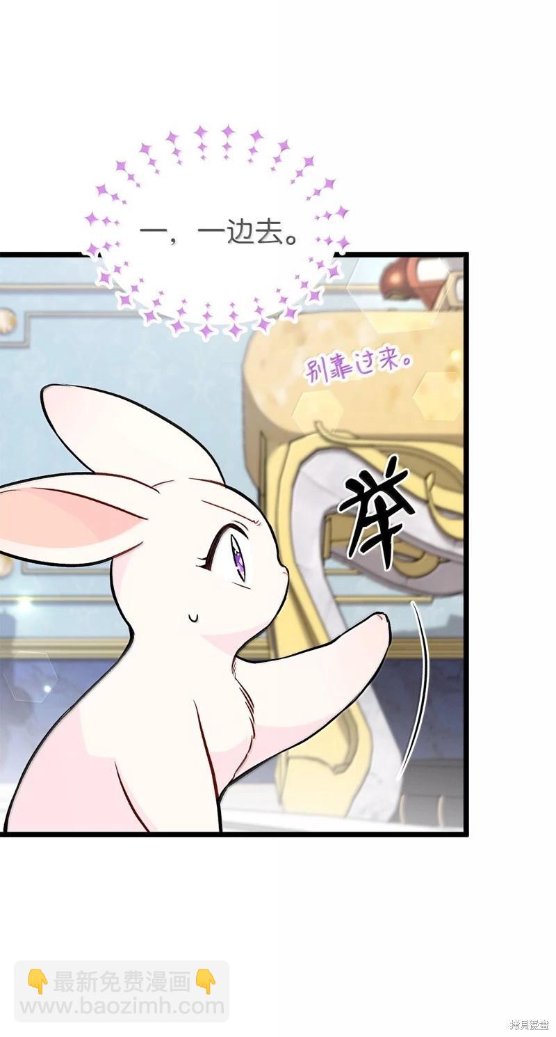 兔子與黑豹的共生關係 - 第134話(1/2) - 4
