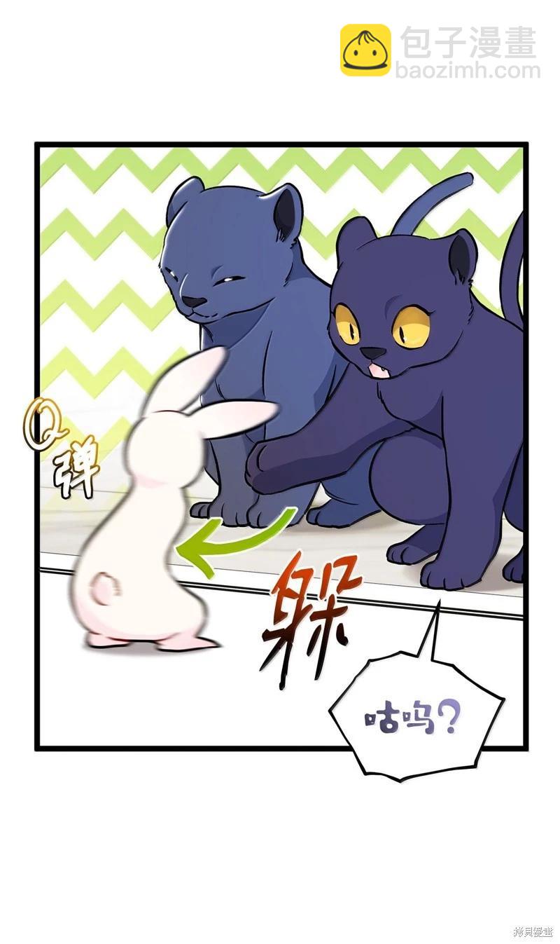 兔子與黑豹的共生關係 - 第134話(1/2) - 6