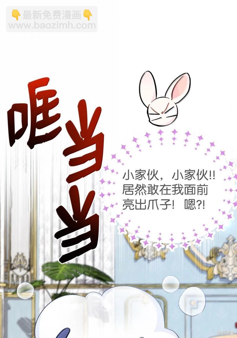兔子與黑豹的共生關係 - 第134話(1/2) - 5