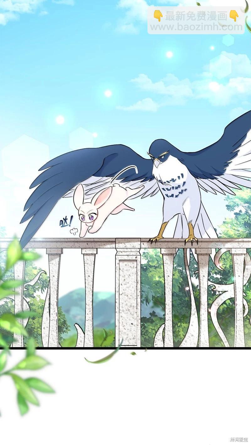 兔子與黑豹的共生關係 - 第134話(1/2) - 3