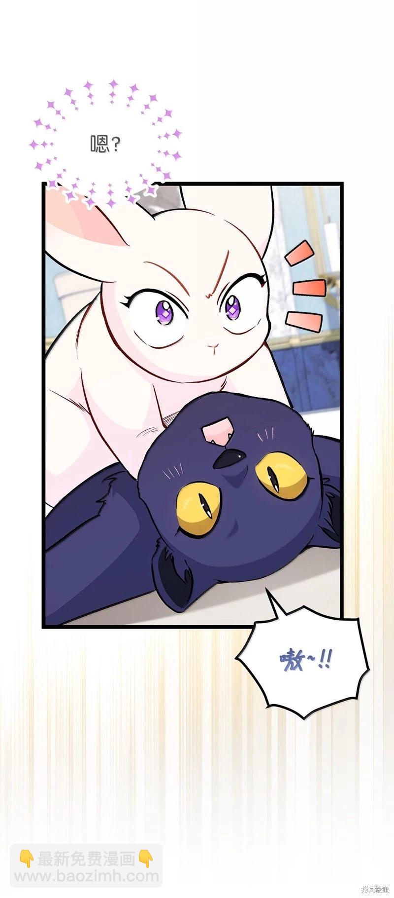 兔子與黑豹的共生關係 - 第134話(1/2) - 8