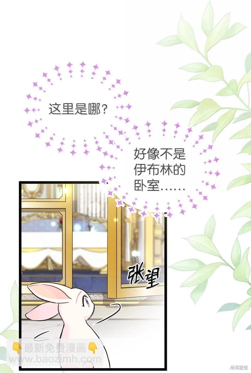 兔子與黑豹的共生關係 - 第134話(1/2) - 4