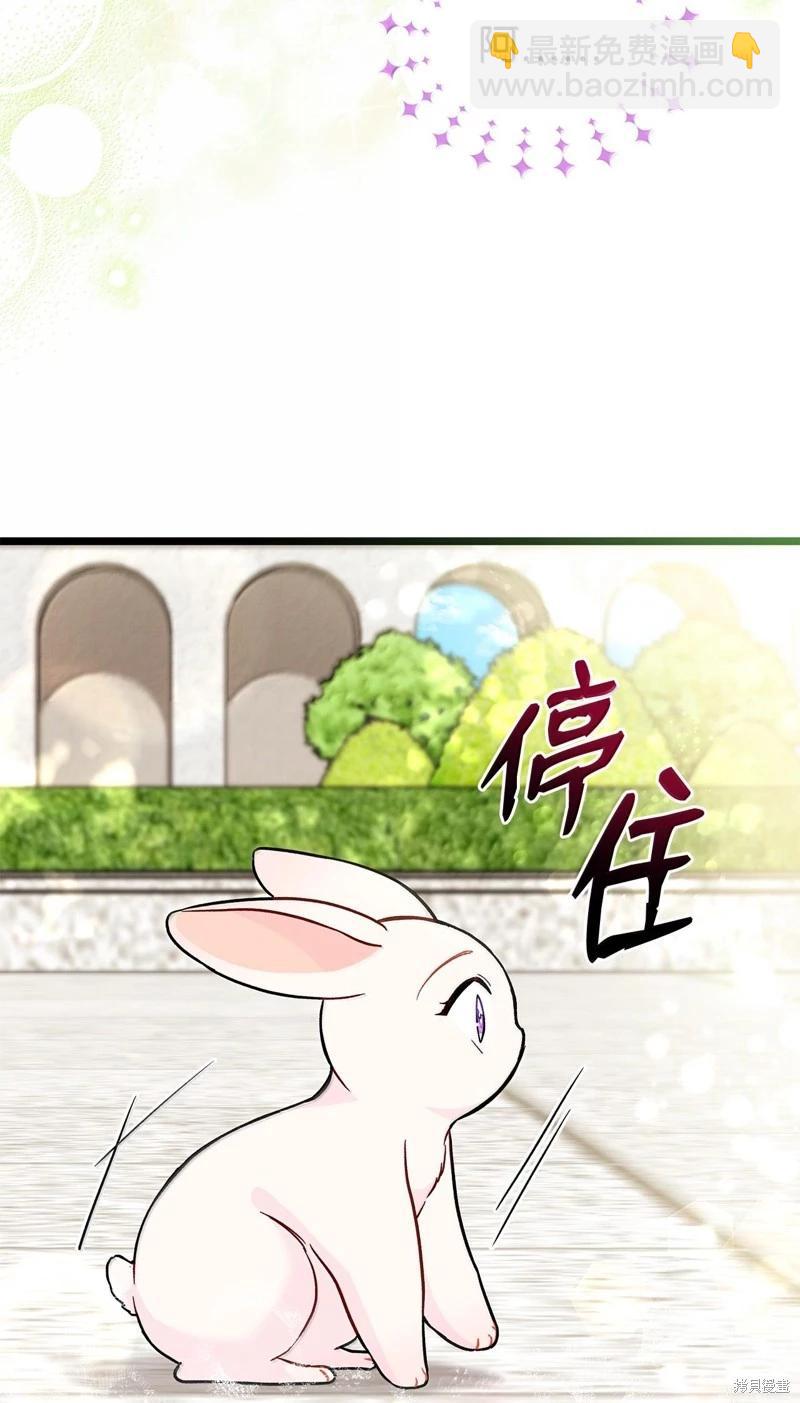 兔子與黑豹的共生關係 - 第134話(2/2) - 5