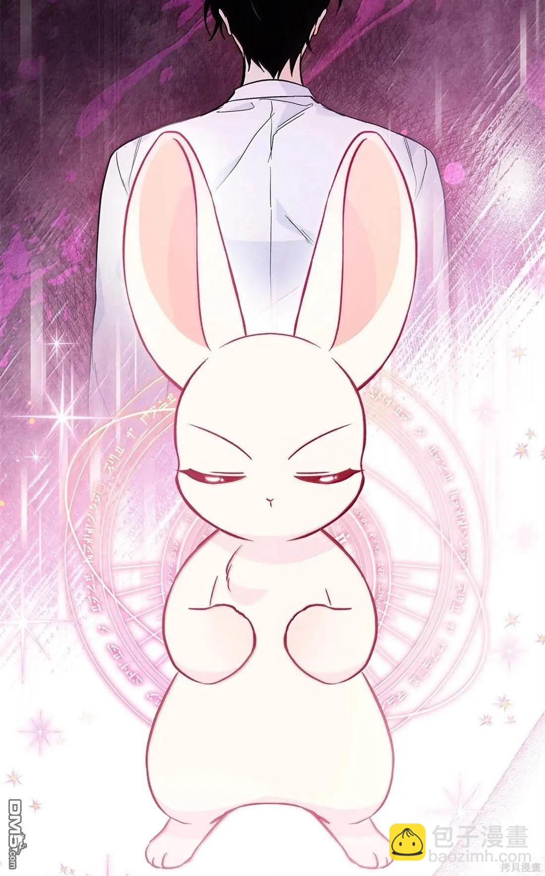 兔子與黑豹的共生關係 - 第136話(1/2) - 3