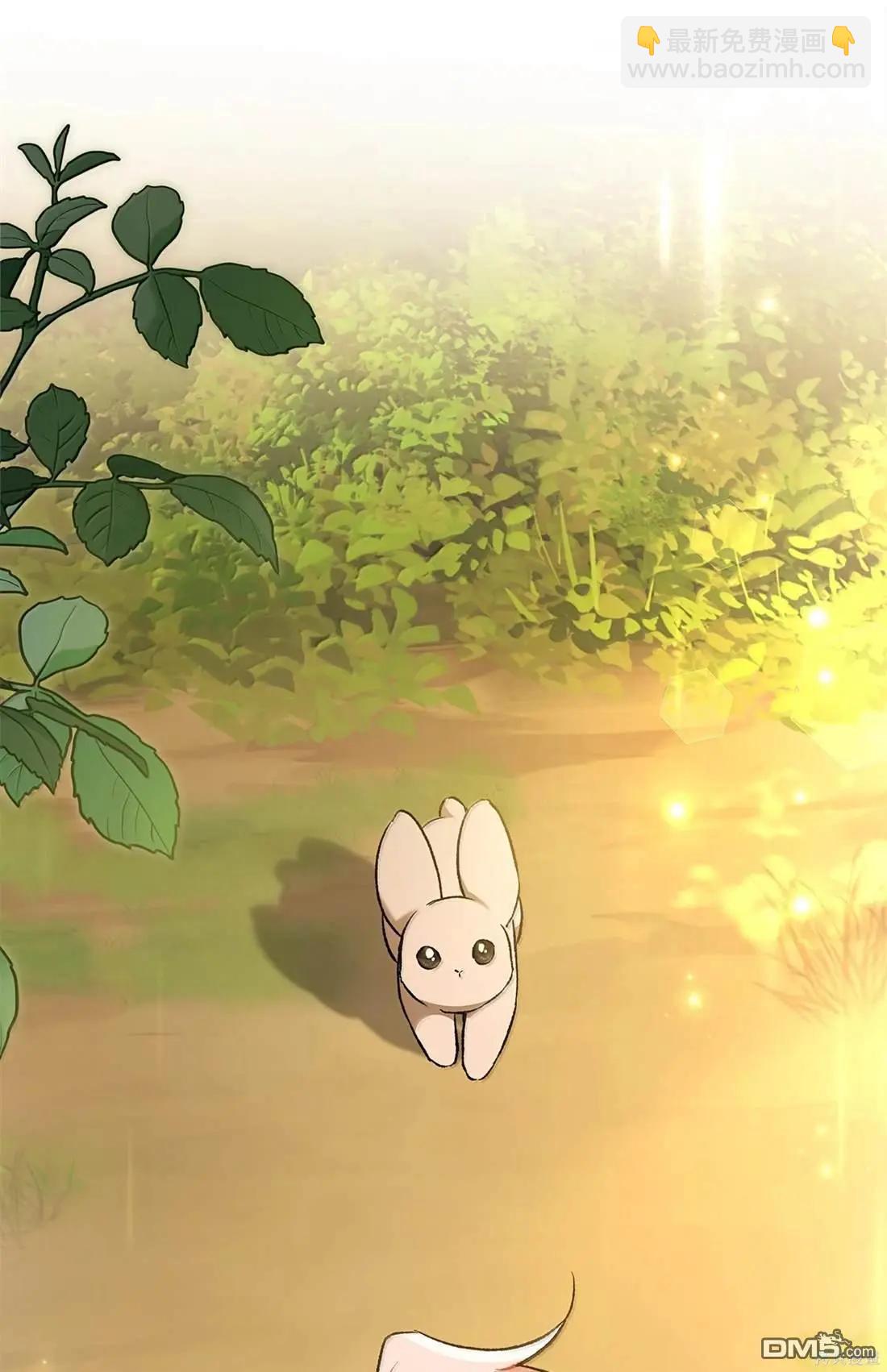 兔子與黑豹的共生關係 - 第136話(2/2) - 3