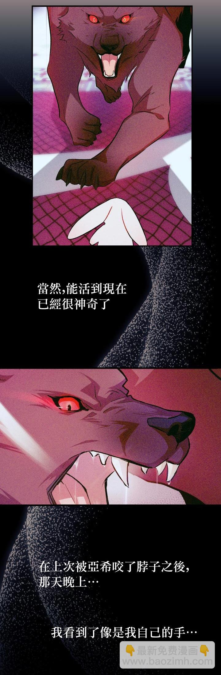 兔子與黑豹的共生關係 - 第16話 - 6