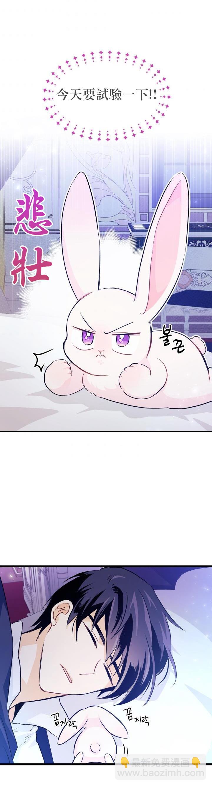 兔子與黑豹的共生關係 - 第16話 - 2