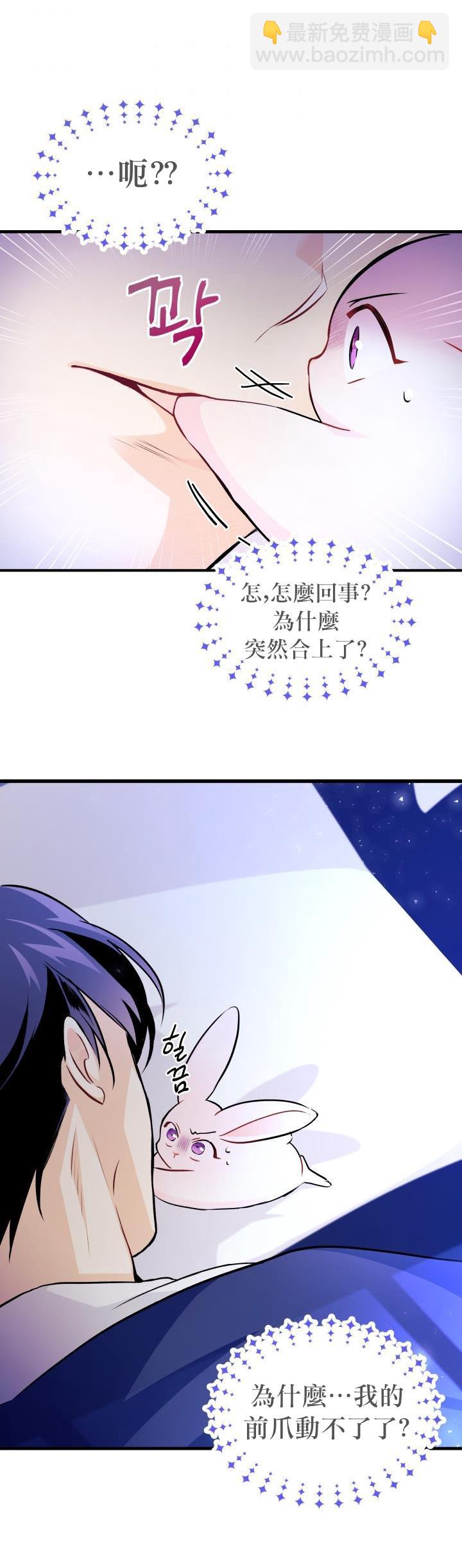 兔子與黑豹的共生關係 - 第16話 - 2