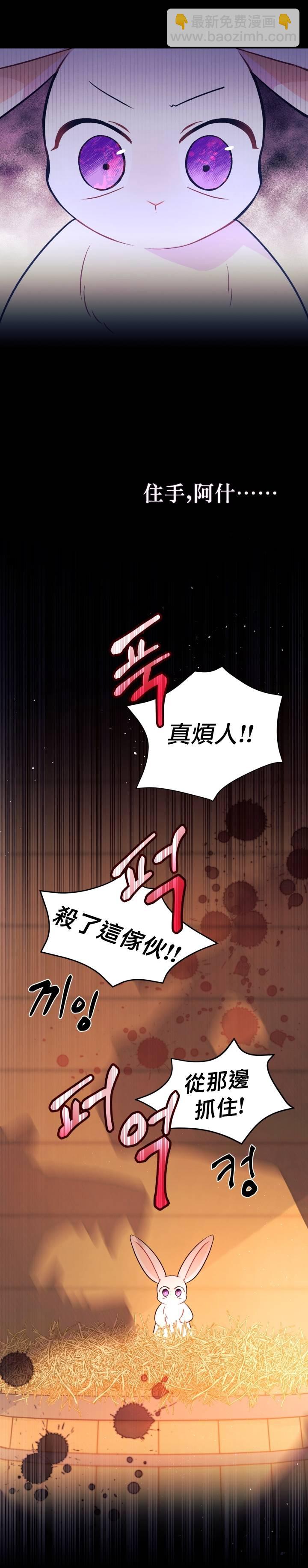 兔子與黑豹的共生關係 - 第28話 - 6