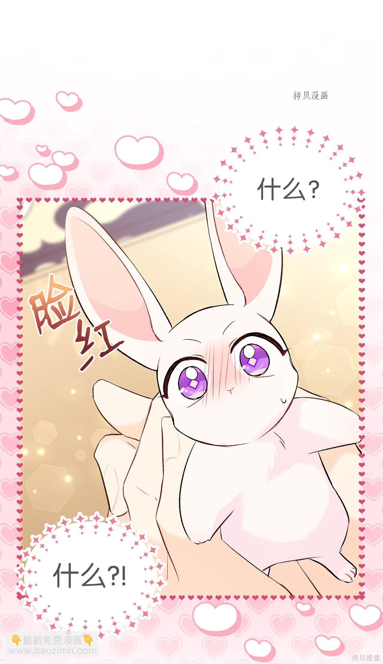 兔子與黑豹的共生關係 - 第56話(2/3) - 1