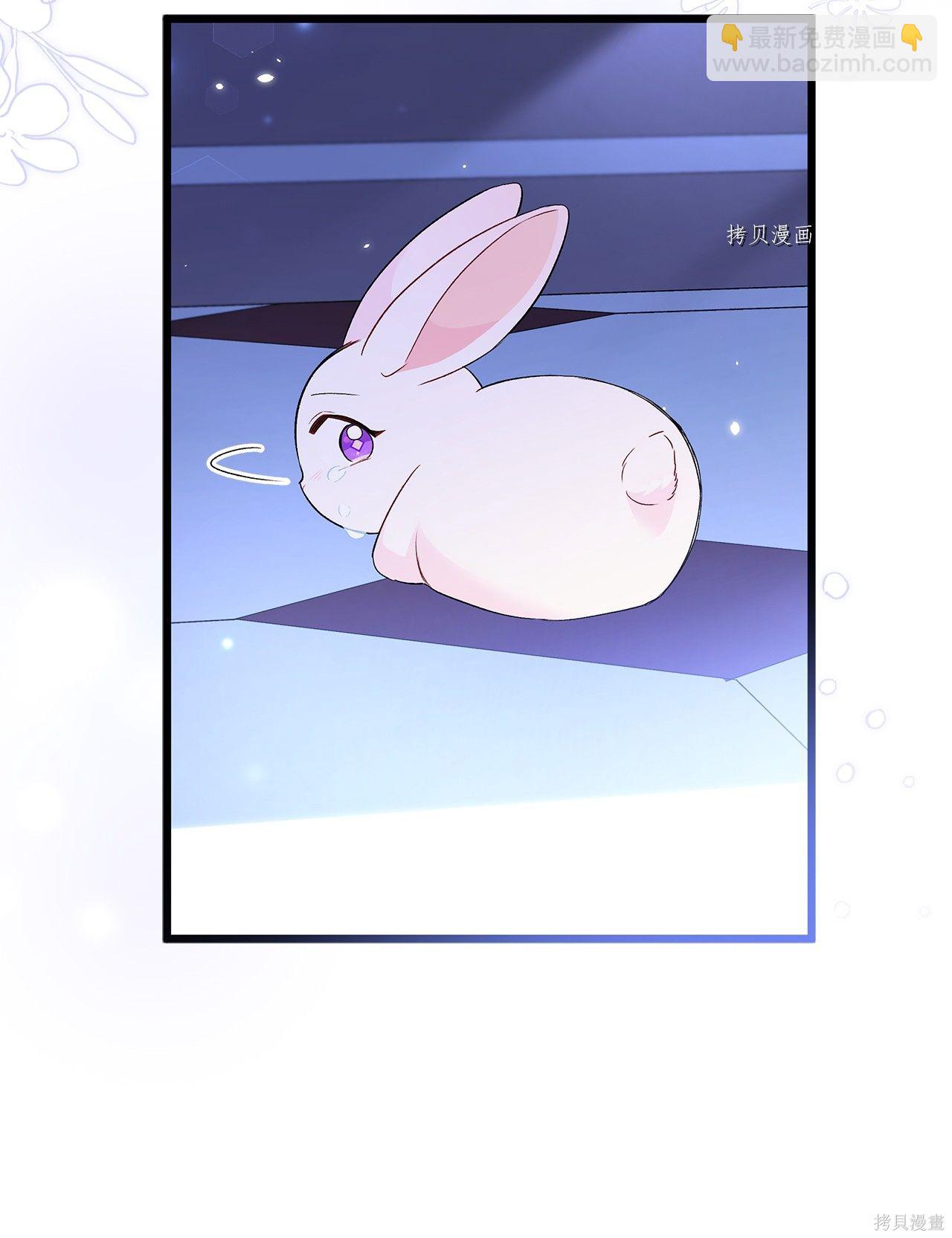 兔子與黑豹的共生關係 - 第58話(2/2) - 5