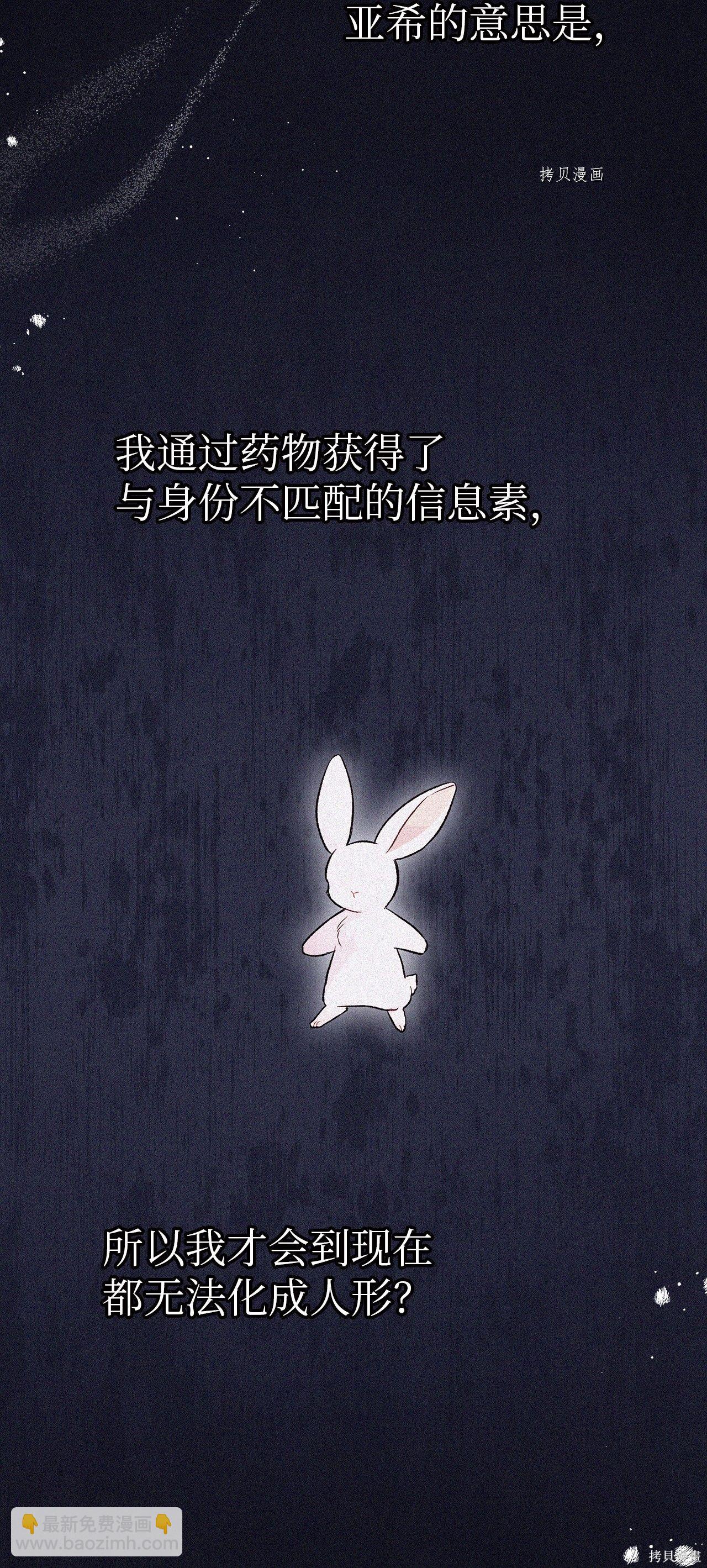 兔子與黑豹的共生關係 - 第58話(2/2) - 4