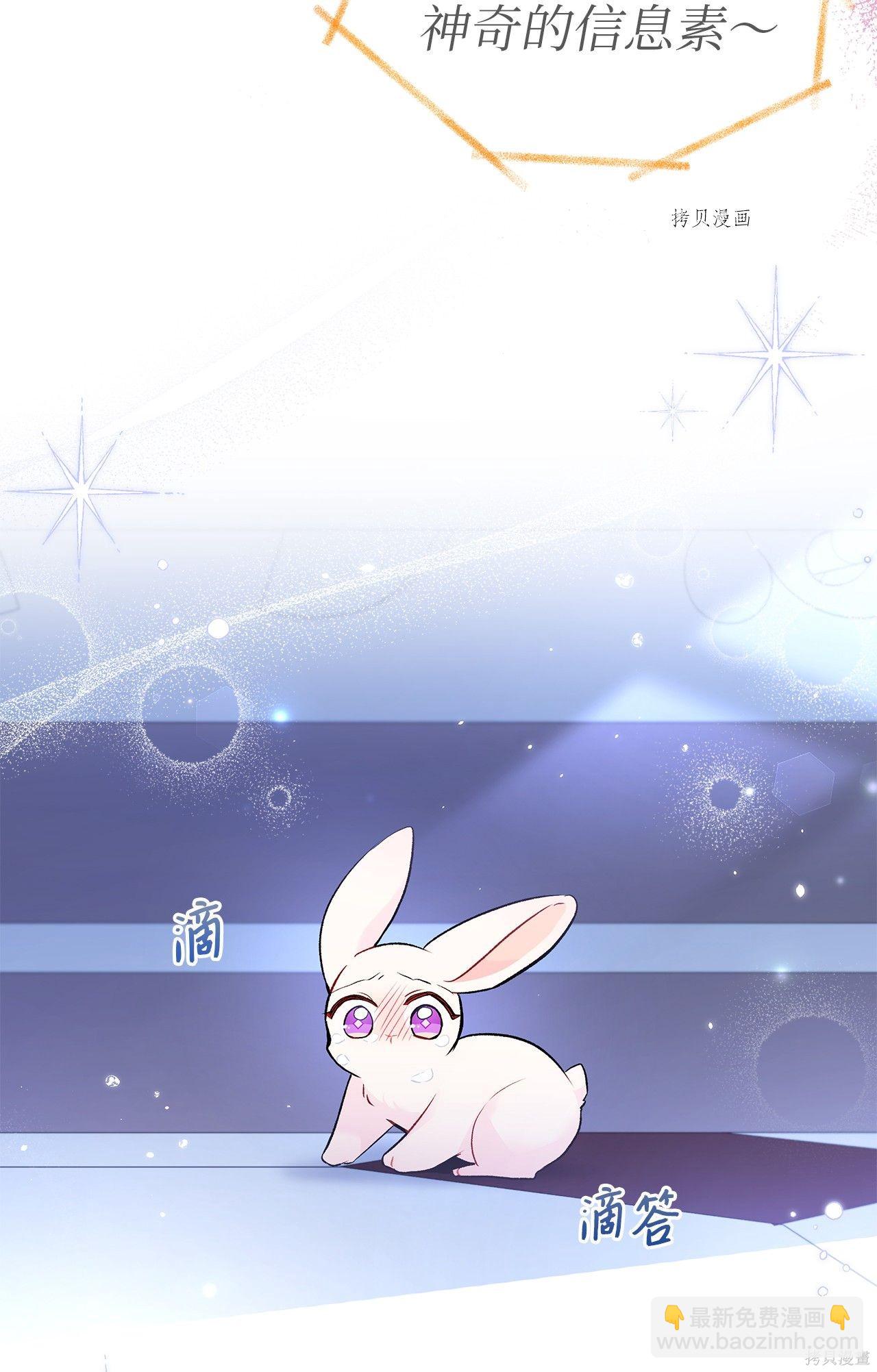 兔子與黑豹的共生關係 - 第58話(2/2) - 3