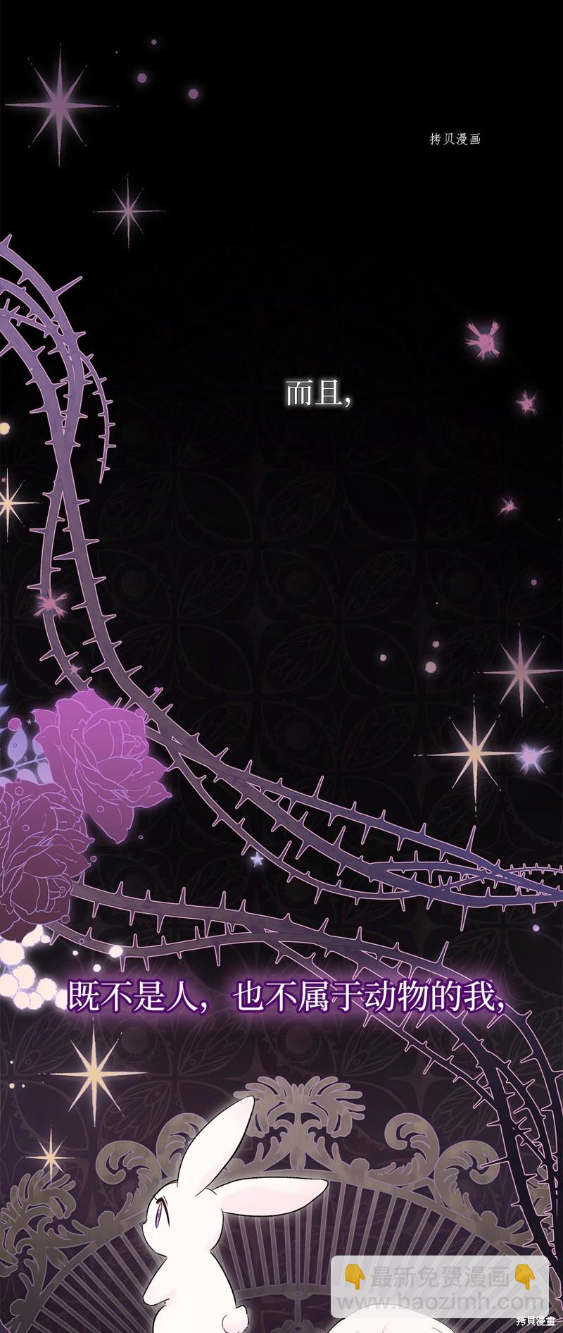 兔子與黑豹的共生關係 - 第72話(1/2) - 1