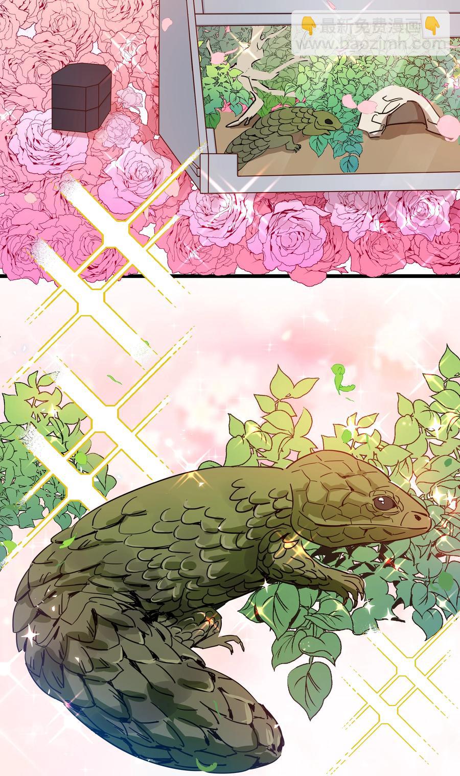 043 爱的结晶！(1/2)-第42话