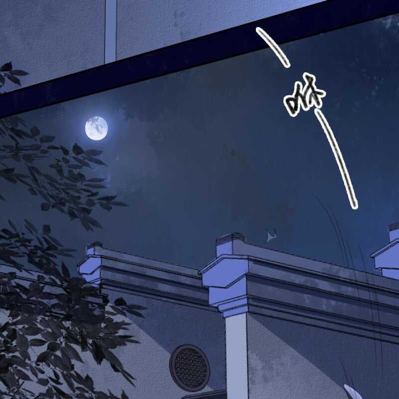 第146话 暗夜追踪-第148话