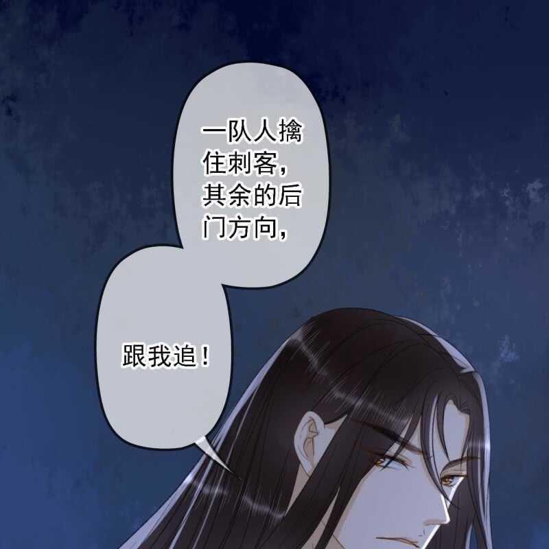 王的宠妃 - 第146话 暗夜追踪 - 3